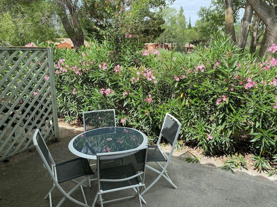 Amandier Apartment Arles