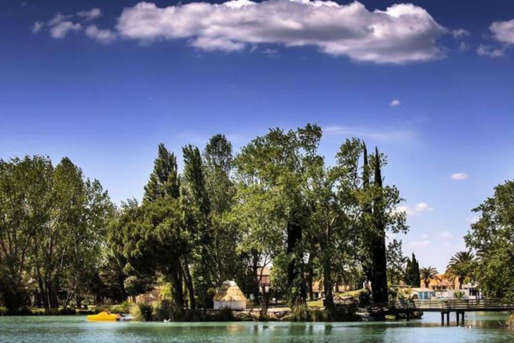 Amandier * Arles